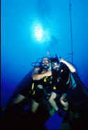 Steve and Spencer Longhofer, shark cage diver, scuba diver and sports caster