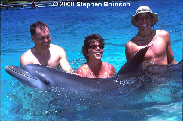 The Doplphin Encounter at Anthony's Key Resort on the island of Roatan.