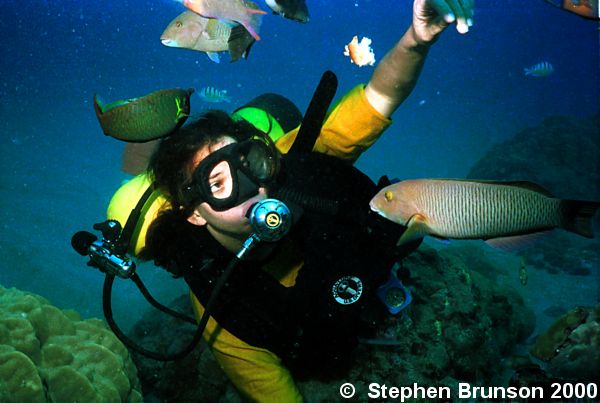 Our favorite dive site was Hanama Bay, on the island of Oahu, Hawaii. We captured some of our best underwater images together in that protected bay. 