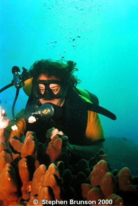 Our favorite dive site was Hanama Bay, on the island of Oahu, Hawaii. We captured some of our best underwater images together in that protected bay. 