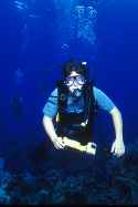 Spencer Longhofer shark cage diver, scuba diver and sports caster