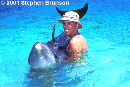 The Doplphin Encounter at Anthony's Key Resort on the island of Roatan.