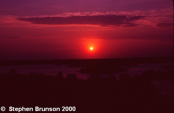 The sun, by the gravitational effects of its mass, dominates the planetary system that includes the earth.  By the radiation of its electromagnetic energy, the sun furnishes all of the energy supporting all life on earth, because all foods and all fuels are derived ultimately from plants using the energy of sunlight: photosynthesis.