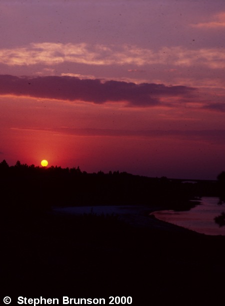 The sun, by the gravitational effects of its mass, dominates the planetary system that includes the earth.  By the radiation of its electromagnetic energy, the sun furnishes all of the energy supporting all life on earth, because all foods and all fuels are derived ultimately from plants using the energy of sunlight: photosynthesis.