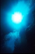The sun, by the gravitational effects of its mass, dominates the planetary system that includes the earth. By the radiation of its electromagnetic energy, the sun furnishes all of the energy supporting all life on earth, because all foods and all fuels are derived ultimately from plants using the energy of sunlight - photosynthesis